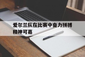 九州体育官方网站-关于爱尔兰队在比赛中奋力拼搏精神可嘉的信息