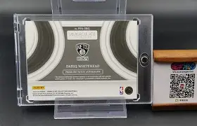 篮网新秀光芒四射,被誉为未来之星的简单介绍 篮网新秀光芒四射,被誉为未来之星的简单介绍