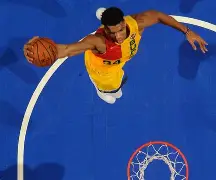 阿德托昆博50佳球